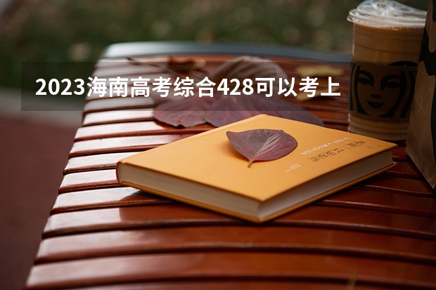 2023海南高考综合428可以考上什么大学