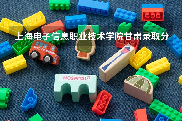 上海电子信息职业技术学院甘肃录取分数线是多少 上海电子信息职业技术学院甘肃招多少人
