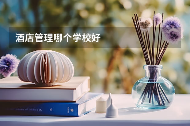 酒店管理哪个学校好
