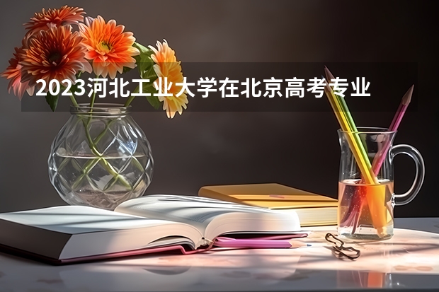 2023河北工业大学在北京高考专业招生计划人数数量是多少