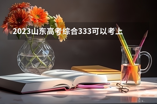 2023山东高考综合333可以考上什么大学