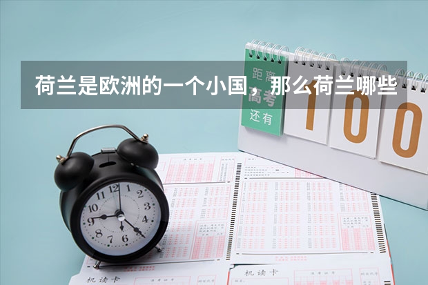 荷兰是欧洲的一个小国，那么荷兰哪些大学排名在国内前十？