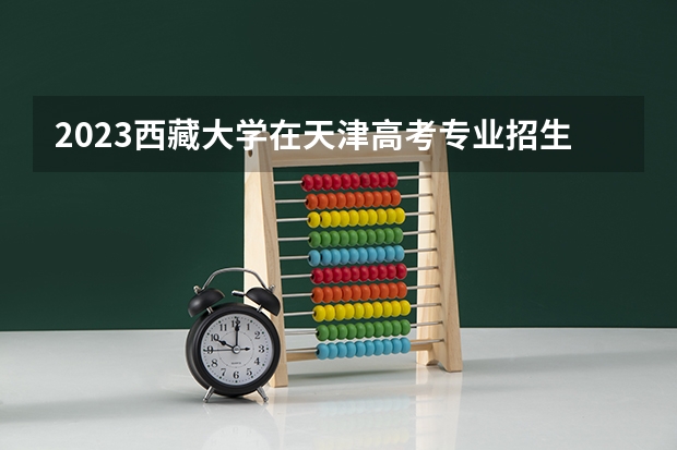 2023西藏大学在天津高考专业招生计划人数数量是多少