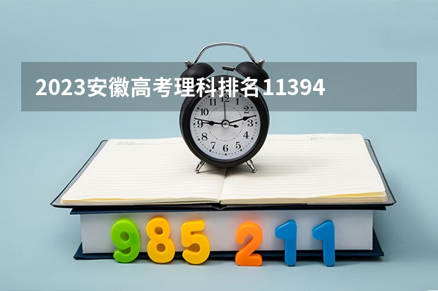 2023安徽高考理科排名113945的考生报什么大学 大学往年录取分数线