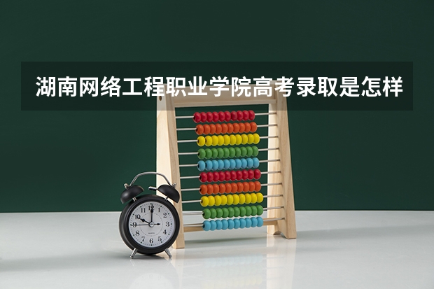 湖南网络工程职业学院高考录取是怎样的流程