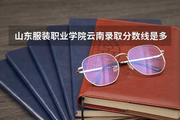 山东服装职业学院云南录取分数线是多少 山东服装职业学院云南招多少人