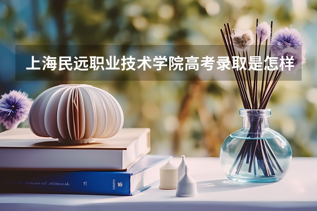 上海民远职业技术学院高考录取是怎样的流程