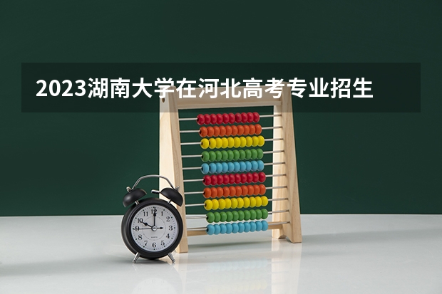 2023湖南大学在河北高考专业招生计划人数数量是多少