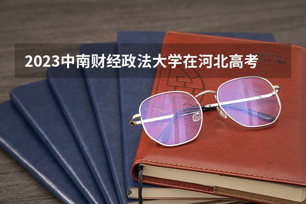 2023中南财经政法大学在河北高考专业招生计划人数数量是多少