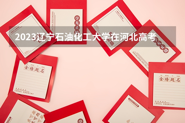 2023辽宁石油化工大学在河北高考专业招生计划人数数量是多少