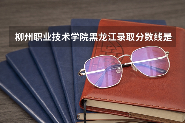 柳州职业技术学院黑龙江录取分数线是多少 柳州职业技术学院黑龙江招多少人