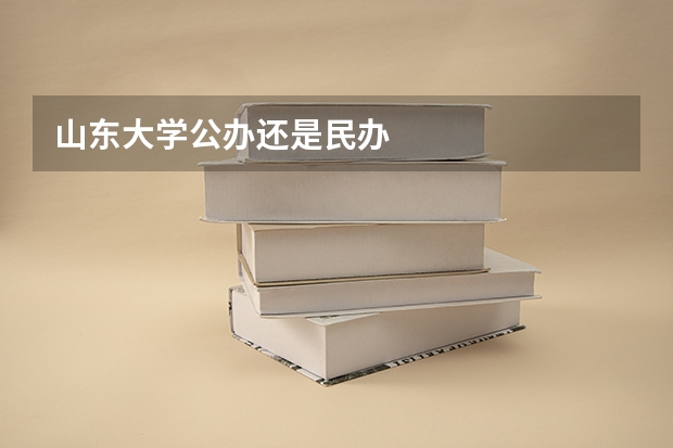 山东大学公办还是民办