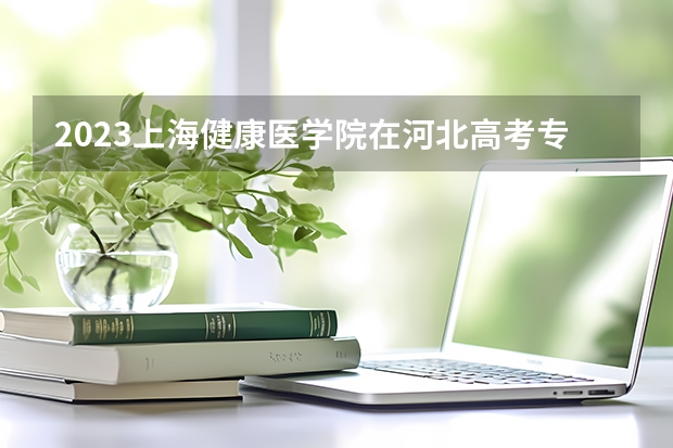 2023上海健康医学院在河北高考专业招生计划人数数量是多少