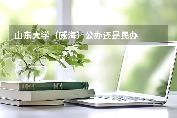 山东大学(威海)公办还是民办