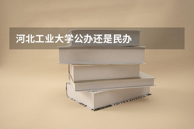 河北工业大学公办还是民办
