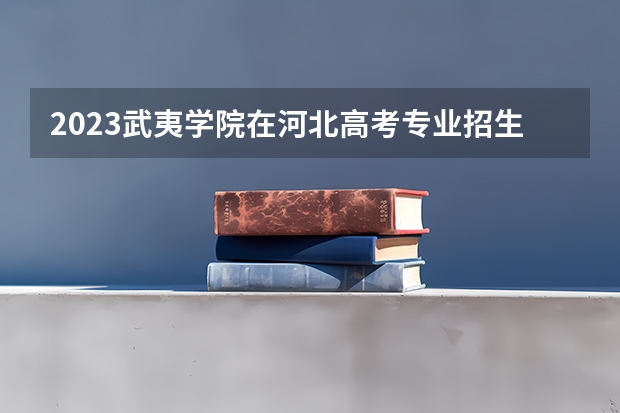 2023武夷学院在河北高考专业招生计划人数数量是多少