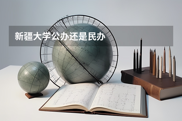 新疆大学公办还是民办