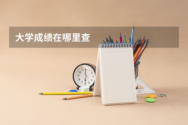 大学成绩在哪里查