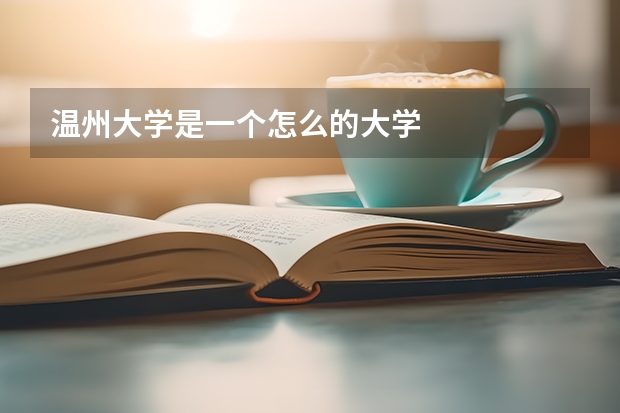温州大学是一个怎么的大学