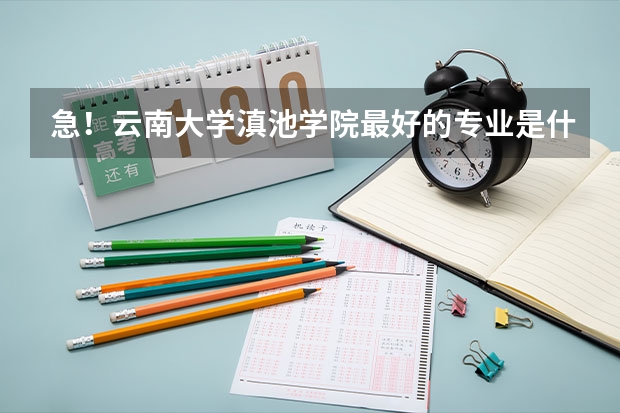 急!云南大学滇池学院最好的专业是什么啊?(文科的)谢谢!