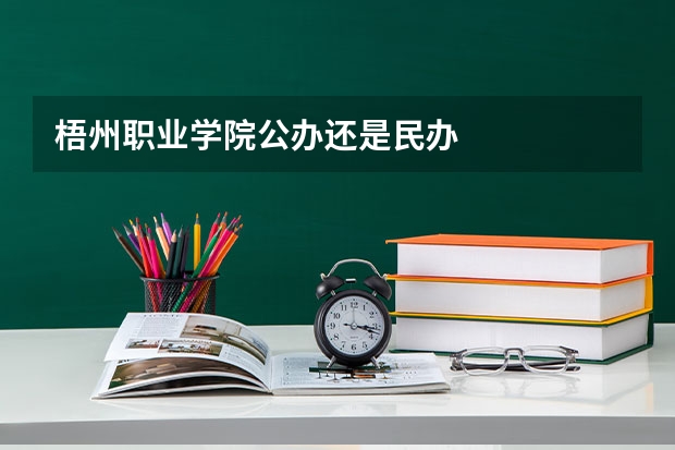 梧州职业学院公办还是民办