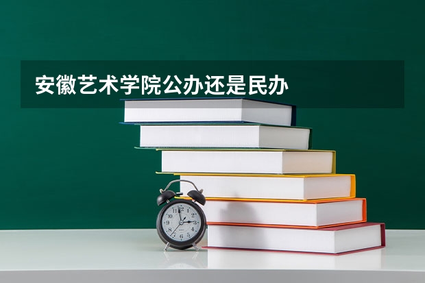 安徽艺术学院公办还是民办