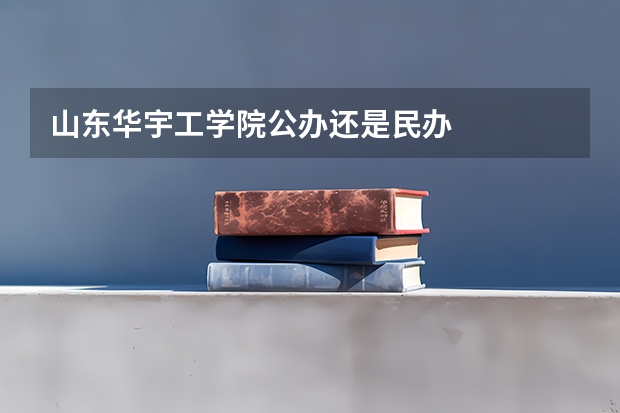 山东华宇工学院公办还是民办