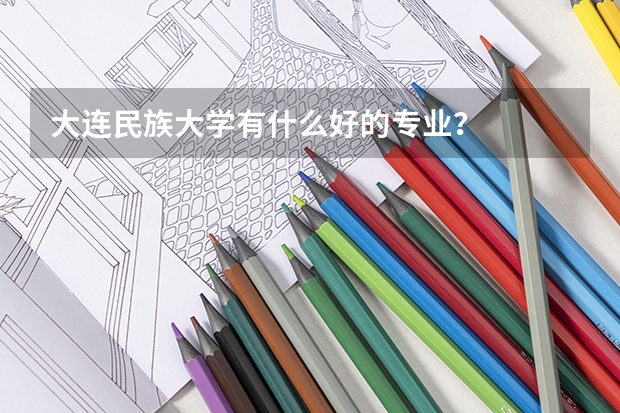 大连民族大学有什么好的专业？