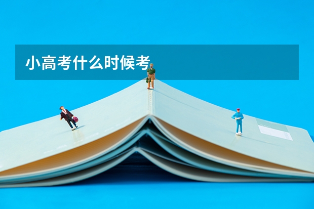 小高考什么时候考