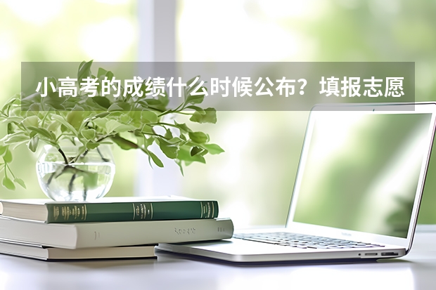 小高考的成绩什么时候公布？填报志愿采取什么方式？