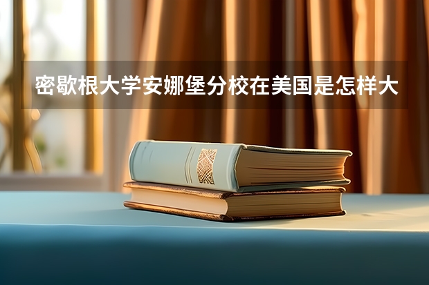 密歇根大学安娜堡分校在美国是怎样大学?美国休斯顿大学怎么样?