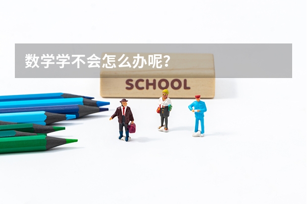 数学学不会怎么办呢?