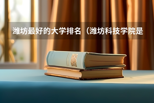 潍坊最好的大学排名（潍坊科技学院是公办还是民办）