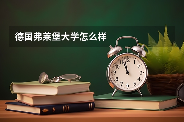 德国弗莱堡大学怎么样