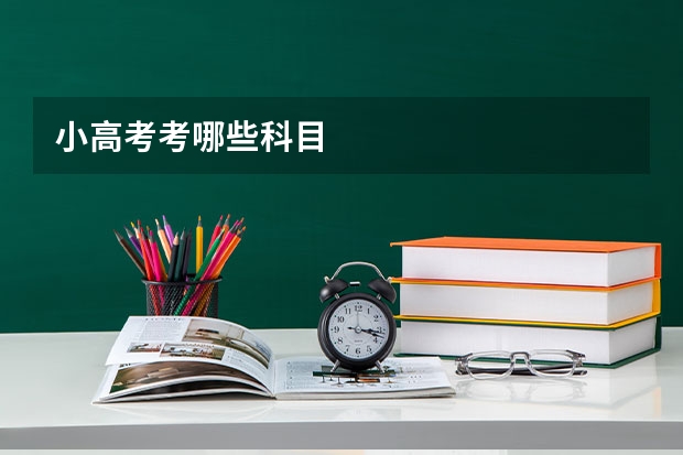 小高考考哪些科目