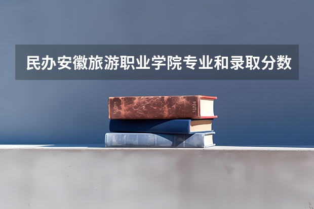 民办安徽旅游职业学院专业和录取分数线是多少