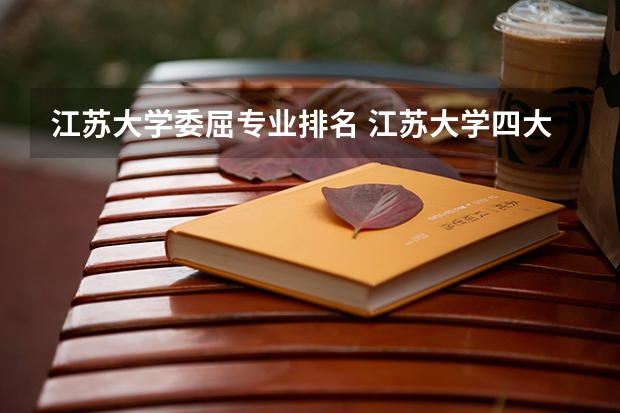 江苏大学委屈专业排名 江苏大学四大王牌专业