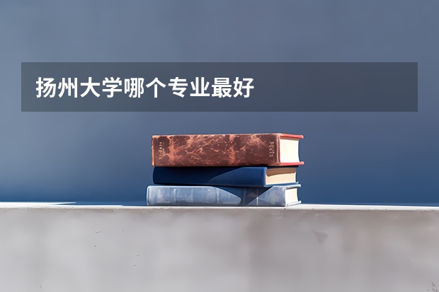 扬州大学哪个专业最好