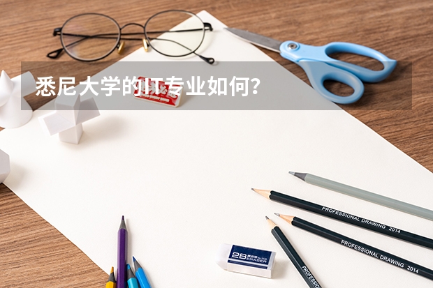 悉尼大学的IT专业如何？