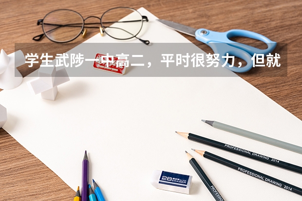 学生武陟一中高二，平时很努力，但就是成绩一直不见提升，怎么办好？需要给孩子补课吗？去哪