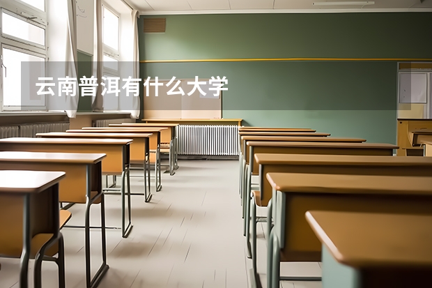 云南普洱有什么大学