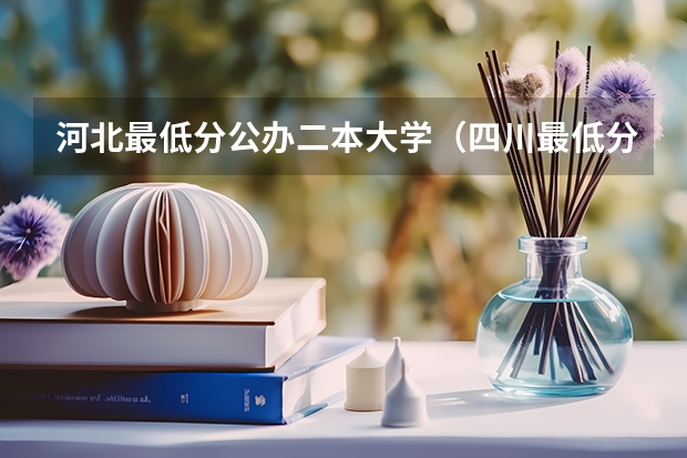 河北最低分公办二本大学（四川最低分公办二本大学）