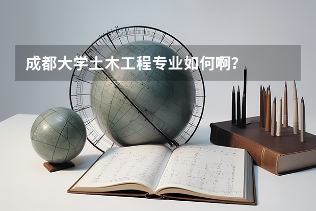 成都大学土木工程专业如何啊？
