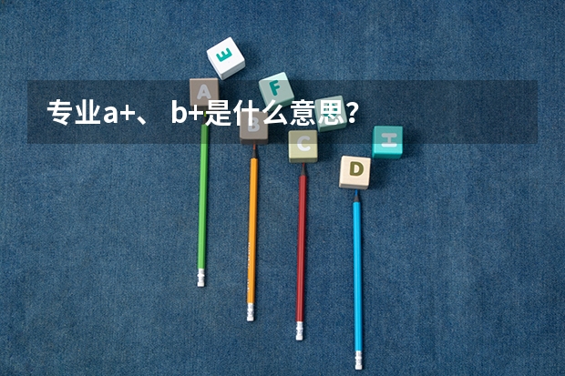 专业a+、 b+是什么意思？