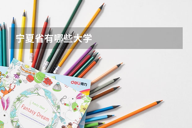 宁夏省有哪些大学