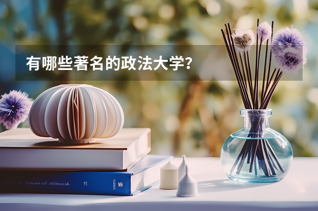 有哪些著名的政法大学？