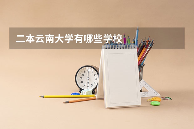 二本云南大学有哪些学校