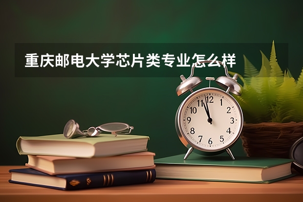 重庆邮电大学芯片类专业怎么样