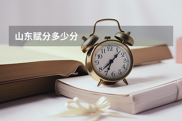 山东赋分多少分