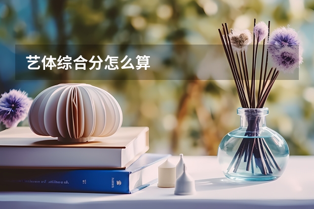 艺体综合分怎么算
